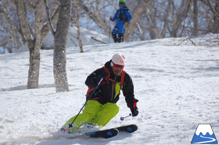 DYNASTAR SKI 